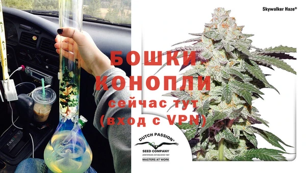 спиды Тавда