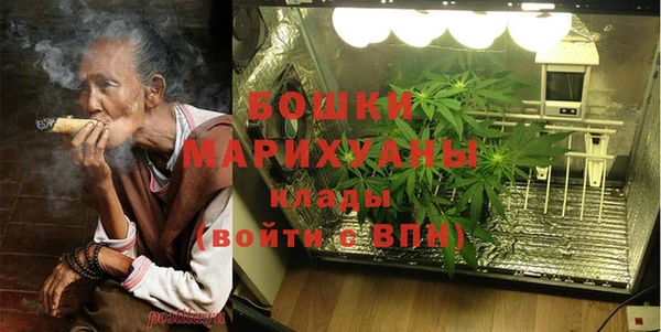 спиды Тавда