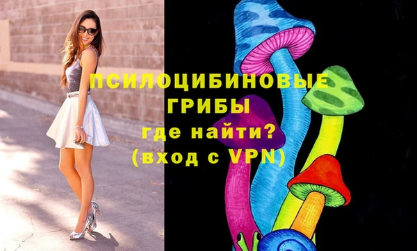 крисы Железногорск-Илимский