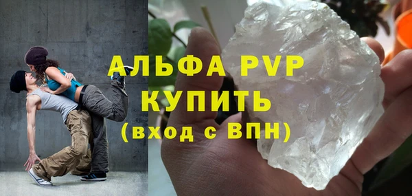 спиды Тавда