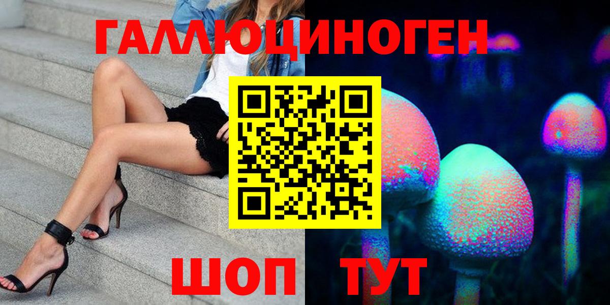 Псилоцибиновые грибы Psilocybe Шарыпово